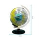 thumbnail image 5 of Globo Terráqueo DIY Juguete Científico, 5 of 5