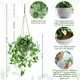 thumbnail image 2 of Planta colgante artificial TNNTOPELE con hojas de anturio falsas, paquete de 2, 2 of 9