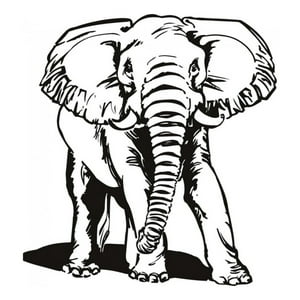 Rienda Libre Graphics - Decomural African Elephant Ws-15485