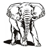 Rienda Libre Graphics - Decomural African Elephant Ws-15485