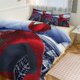 thumbnail image 1 of Spiderman Room Decor Bedding Set with Sheets And Pillow 3 Piece Bedding Super Soft Fade Resistant Microfiber for Boys Girls Kids Twin, 1 of 5