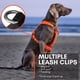 thumbnail image 5 of Arnés para perro Non‑stop dogwear 5.0 acolchado naranja talla 1, 5 of 9