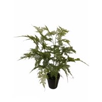 Corel - Helecho Esparagus 46Cm Artificial