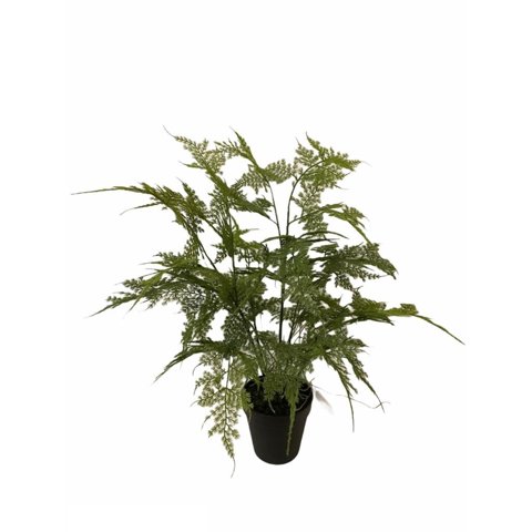 Corel - Helecho Esparagus 46Cm Artificial