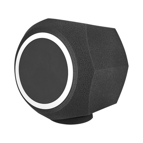 Bothyi - Cubierta De Espuma Profesional De Esponja Acústica Para Pantalla De Micrófono Para Sala De Grabación