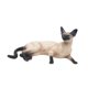 thumbnail image 2 of Figura De Gato En Miniatura, Juguete De Simulación, Estatua Realista De Gato Acostado, 11,6 X 7 X 5,1 Cm, 2 of 5
