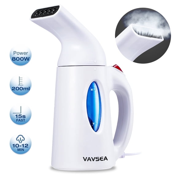 Vaporera Moulinex Companion
