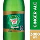 thumbnail image 1 of Bebida Ginger Ale Original Botella, 3 L, 1 of 3