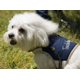 thumbnail image 5 of Conjunto de arnés y correa para perro TOUCHDOG 'Tough-Boutique', 5 of 5