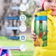 thumbnail image 5 of Franklin Botella de Agua con Tapa Pop Top de Un Toque, Acero Inoxidable, a Prueba de Fugas, para Deportes, Botella Infantil azul 12 oz, 5 of 6