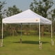 thumbnail image 5 of Juego de bolsas de arena Canopy Weights ABCCANOPY de 4 a 54,43 kg, color beige, 5 of 5