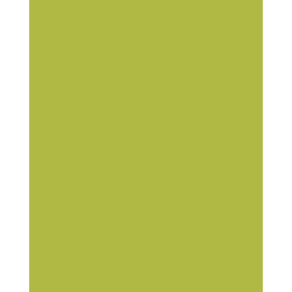 Cardstock - Cartulina Autoadhesiva Verde Claro Silhouette