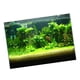 thumbnail image 1 of Póster De Fondo De Acuario De Un Lado, Decoración De Papel Tapiz, Pegatina De 122x61cm, 1 of 5