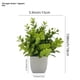 thumbnail image 2 of Plantas Artificiales De Interior Conjunto De 6 Pequeñas Plantas Falsas En Macetas Planta De Casa Falsa Para La Decoración Del Hogar, 2 of 3