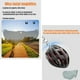thumbnail image 5 of Casco Bicicleta Con Mica Facial Magnética LuBabycas, 5 of 8