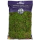 thumbnail image 1 of Musgo de bosque preservado SuperMoss Fresh Green 250 ml, 1 of 3
