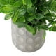 thumbnail image 2 of Planta Decorativa Artificial Wisteria, 2 of 5