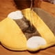 thumbnail image 2 of Get Super Absorbent Panda/Bee Shaped Hand Towel for Your Bathroom Supplies - 1pc, 2 of 4
