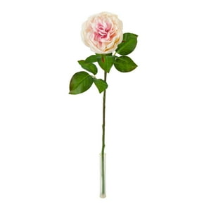 Green Element - Rosa Rosada 65 Cms