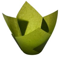 Genérico - Tulipa Para Muffin Verde 50 Un Blanco