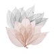 thumbnail image 4 of 100 Piezas De Hojas De Esqueleto De Magnolia Natural, Hojas De Café Negro Para álbumes De Recortes, 4 of 5