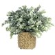 thumbnail image 1 of Planta de eucalipto artificial MyGift con modernas macetas de hormigón, 1 of 7