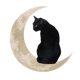 thumbnail image 2 of Gato De Hierro En La Ventana De Regalo De La Luna Colgando Rústico Para Baño Interior 30 Cm, 2 of 5