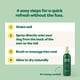 thumbnail image 5 of Aerosol desodorizante para perros, té blanco refrescante de calidad ambiental, 240 ml, 5 of 8