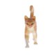 thumbnail image 2 of Simulación Mascotas Animal Modelo Figura Juguete Educativo Decoración Del Hogar Gato 2, 2 of 5