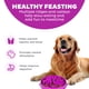 thumbnail image 2 of Comedero para perros Slow Feeder Outward Hound Fun Feeder Slo Bowl, color morado, 2 of 7