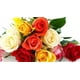 thumbnail image 2 of Fertilizante Específico Rosas 1 Kg, 2 of 2