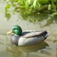 thumbnail image 1 of Señuelo De Plástico Para Pato Silvestre, Estilo De Texas, Caza Mortal, Señuelo Para Pesca, Drake, 1 of 3