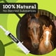 thumbnail image 3 of Suplemento Equino Synchill Gel Natural Focus Paquete De 2, 3 of 7