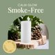 thumbnail image 4 of Vela Pilar sin aroma Mister Candle 20 cm x 10 cm blanca, 4 of 6