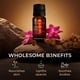 thumbnail image 5 of Aceite esencial Gya Labs Ambrette Seed 10 ml para cabello y piel, 5 of 6