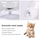 thumbnail image 5 of Juego de cuencos para gatos, bebederos y comederos, cuencos desmontables, dispensador automático de agua con botella, comedero para gatos o perros., 5 of 7