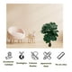 thumbnail image 3 of Planta Artificial Tipo Fiddle Tree. Altura: 75Cm, 3 of 4