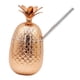 thumbnail image 5 of con tubo para beber Copas de cóctel Vasos creativos Cerveza Taza de Tazas Copa Decoración de agua , bronce, 5 of 5