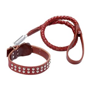 Ioensy - Collar De Perro Gancho De Aleación Cuerda De Tracción Para Perros Grandes Y Medianos Collar Mediano Marrón