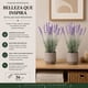 thumbnail image 4 of Set 2 Plantas Artificiales Flores Lavanda Decoracion Hogar purpura, 4 of 8