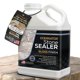 thumbnail image 1 of Sellador DOMINATOR para Piedra 3.78L Acabado Bajo Brillo, 1 of 8