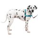 thumbnail image 1 of Arnés para perros PetSafe Easy Walk Deluxe, sin tirones, Large Ocean, 1 of 9