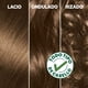 thumbnail image 3 of Coloración Nutrisse Cabello 60 Capuccino, 3 of 7