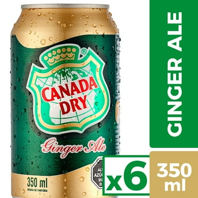 Bebida Ginger Ale Pack Lata 6 Un Canada Dry