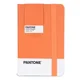 thumbnail image 1 of Libreta Pantone Chica Con Elástico Vertical Lineada Naranja, 1 of 3