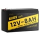 thumbnail image 1 of Batería de litio Eiiev 12V 8Ah LiFePO4 4000+ ciclos con BMS, 1 of 8