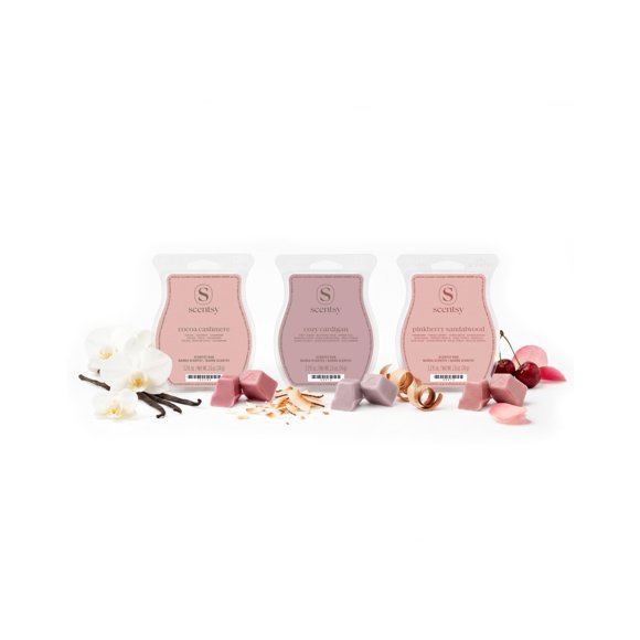 Cápsulas de cera Scentsy Everyday Cozy – Set de 3 barras (236 g)