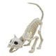 thumbnail image 3 of Esqueleto De Gato Para Halloween, Decoración De Huesos De Gato Para Interiores Y Exteriores, Césped Y Patio Trasero., 3 of 5