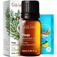thumbnail image 1 of Aceite Esencial De Thuja 10 Ml Puro Para Aromaterapia, 1 of 6