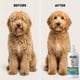thumbnail image 5 of Acondicionador sin enjuague en aerosol para perros We Love Doodles, 480 ml, 5 of 9